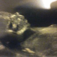 Traci Warner Photo 15