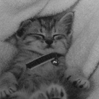 Kelli Singleton Photo 19