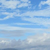 Terry Workman Photo 13