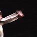 Dale Carey Photo 15