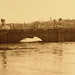 Angelo Conte Photo 7