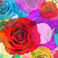 Theresa Acevedo Photo 17