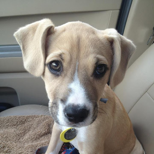 Daniel Lyons Photo 40