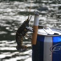 Chris Cockrell Photo 35