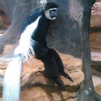 Jonathan Dyer Photo 40 Jonathan Dyer Photo 40