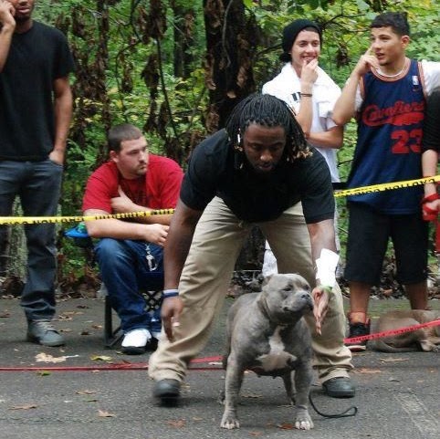 Anthony Gray Photo 22 Anthony Gray Photo 22