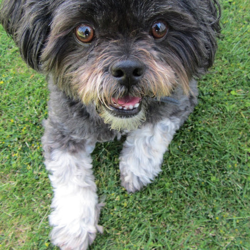 Mary Metcalf Photo 15