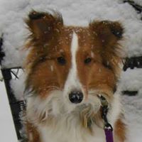 Alice Ellis Photo 30