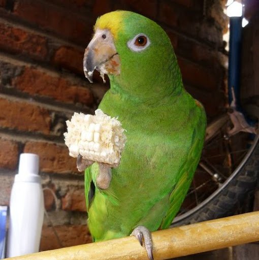 Juan Galindo Photo 40