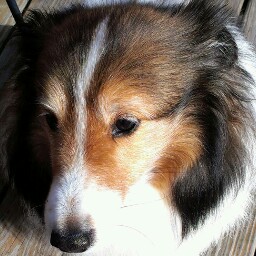 Crystal Jacobs Photo 36