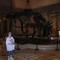 Julie Holley Photo 11