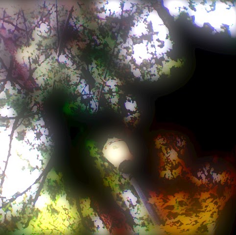 Judy Nguyen Photo 46