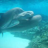 Marilyn Holmes Photo 37