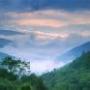 Jane Snider Photo 10