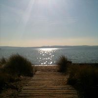 Deborah Tafoya Photo 8