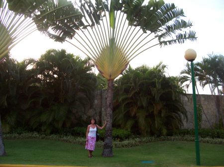 Charlene Burke Photo 11