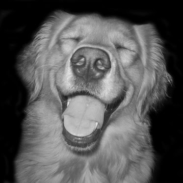 Bridget Sullivan Photo 30