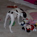 Michele Avery Photo 38