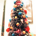 Joann Garland Photo 8