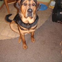 Lisa Barnard Photo 20