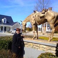 Dale Jenkins Photo 26