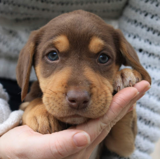 Julia Dallmeier Photo 3