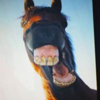 Mark Macgregor Photo 20