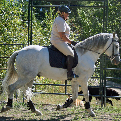 Sally Handley Photo 16