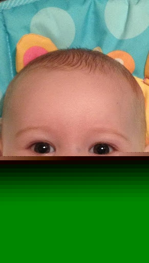 Edward Pawlak Photo 17 Edward Pawlak Photo 17