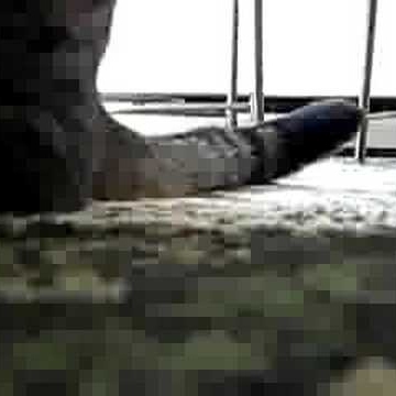 Ellen Campbell Photo 15