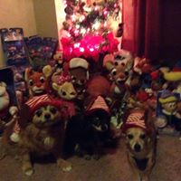 Staci Kessler Photo 4
