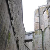 Michelle Sin Photo 7