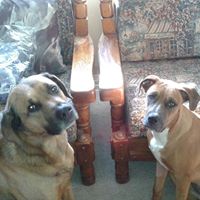 Raymond Hand Photo 19