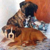 Nancy Currie Photo 20