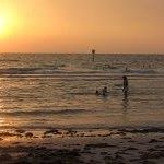 Robyn Webber Photo 8