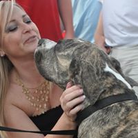 Darlene Crow Photo 23