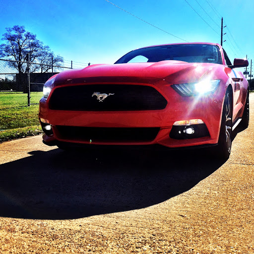 David Mckinney Photo 54