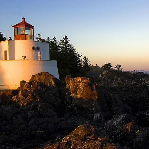 Angela Walker Photo 15