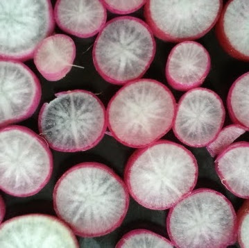 Cynthia Mathews Photo 12