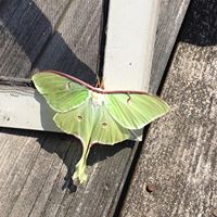 Marilyn Stone Photo 12