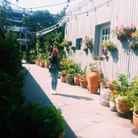 Antoinette Lawrence Photo 28