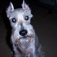 Richard Aldridge Photo 14