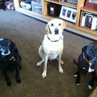 Jack Dan Photo 9