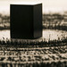 Sana Ahmed Photo 31