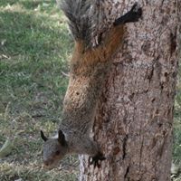 Martin Mathews Photo 26