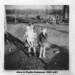 Phyllis Robinson Photo 6