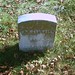 William Mcdowell Photo 27