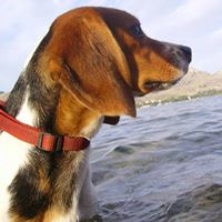 Jennifer Aldrich Photo 23