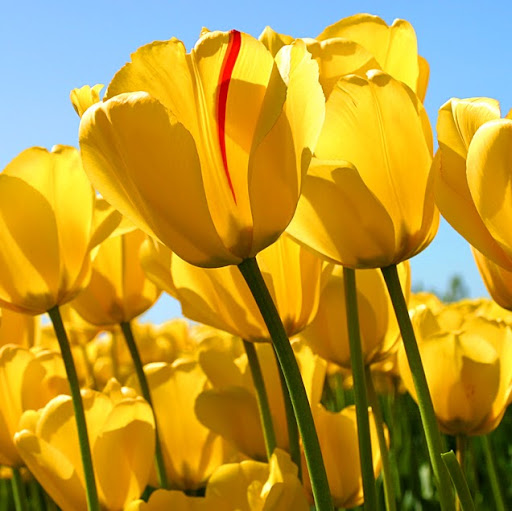 Faith Rivera Photo 9