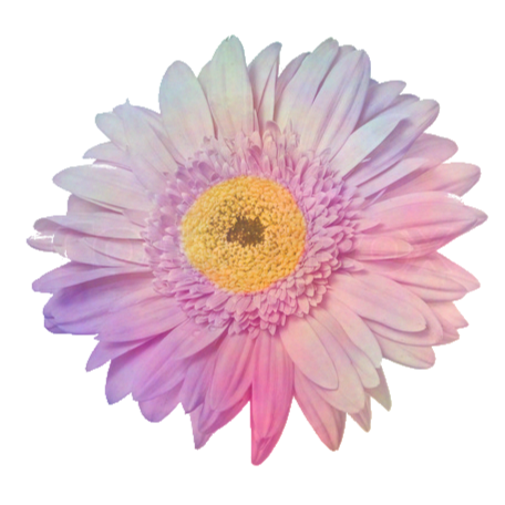 Hannah Ramirez Photo 21